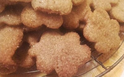 Petits sablés à la cannelle